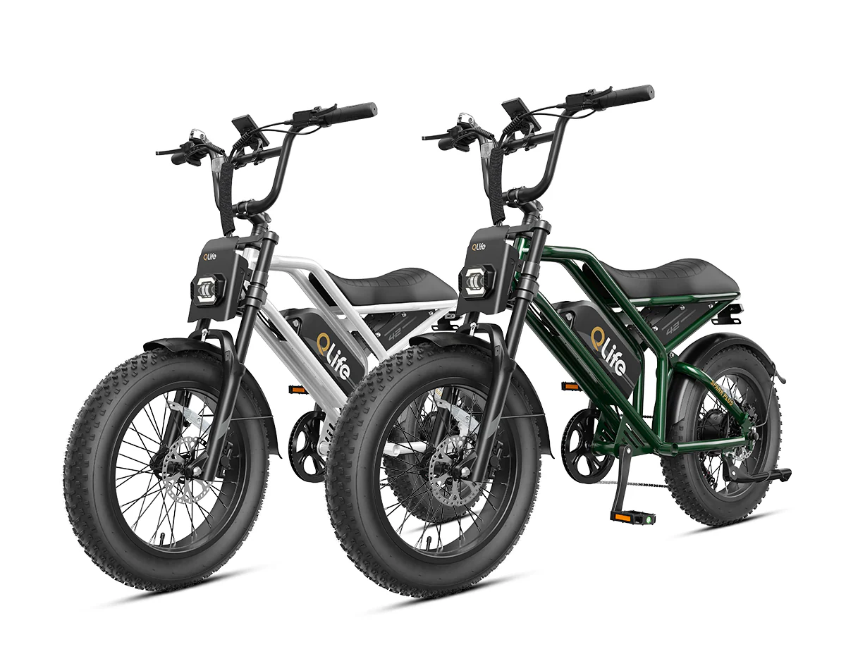 QlifeĀ® Ebike Combo Sale Spark Plus *2 - Image 3